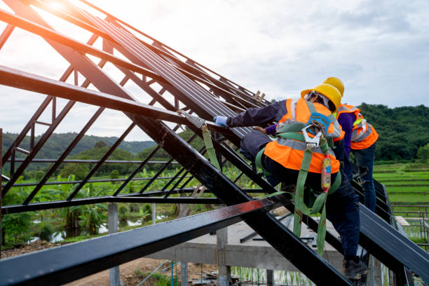 Best Roof Replacement Cost  in Lexington, TN