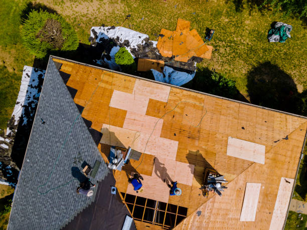 Best Roof Gutter Cleaning  in Lexington, TN