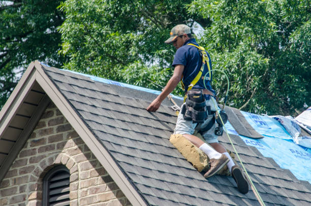 Best Shingle Roofing Installation  in Lexington, TN